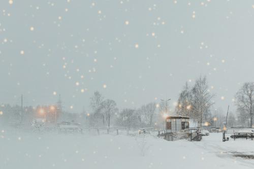 Snowy park in the evening - 1229760