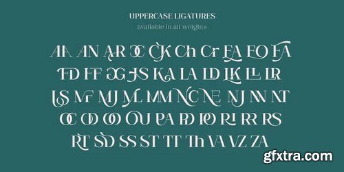 Matterdi Font Family