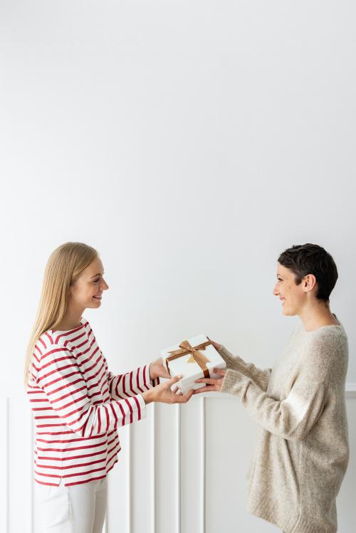 Blond girl giving a Christmas present to her friend - 1231729