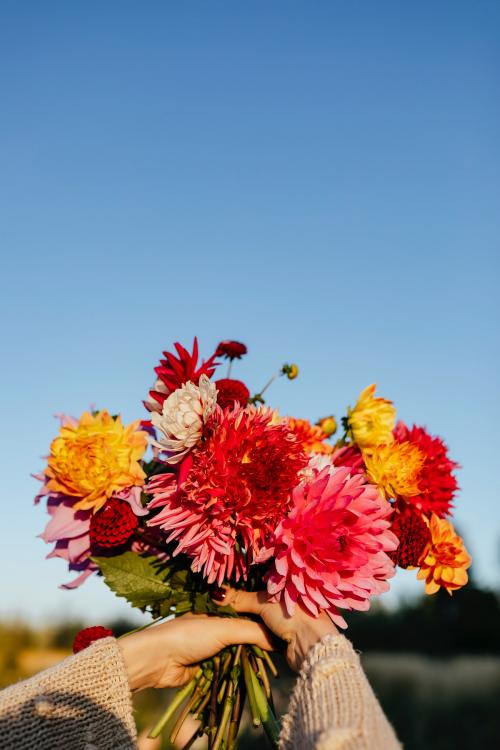 Beautiful bouquet of colorful flowers - 1232128