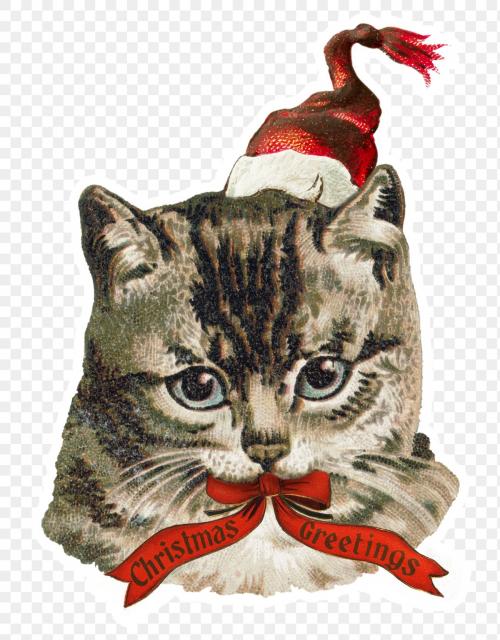 Cat wearing a Santa hat sticker - 1234876