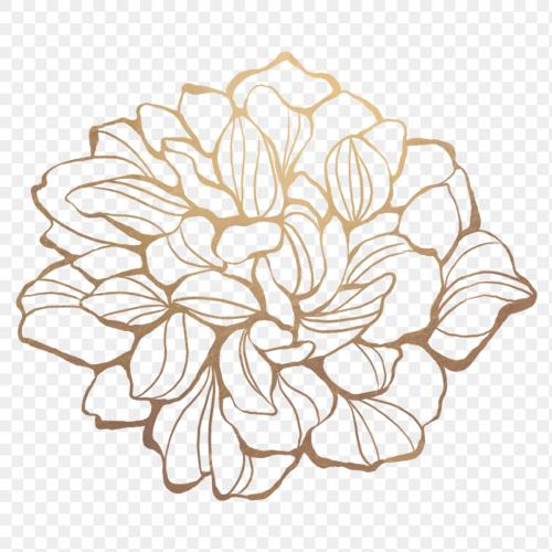 Gold flower outline transparent png - 2019662