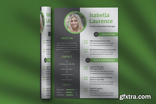 CV Resume Professional Template Vol. 20