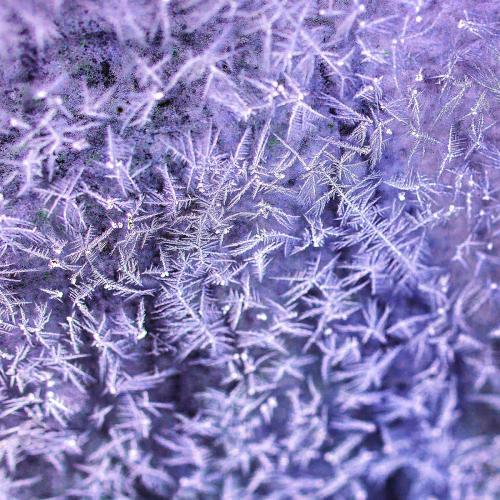 Purple frost on a window background - 1213064