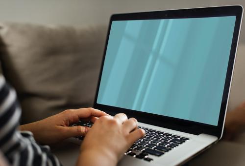 Woman working on a laptop - 404934