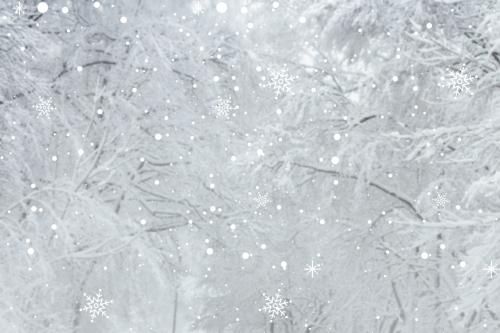 Frosty white tree branches background - 1229707