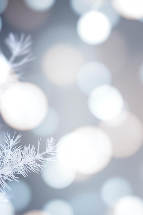 Frosty tree with white bokeh lights background - 1229709