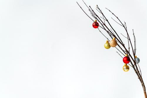 Festive Christmas ornaments on a branch - 1231275