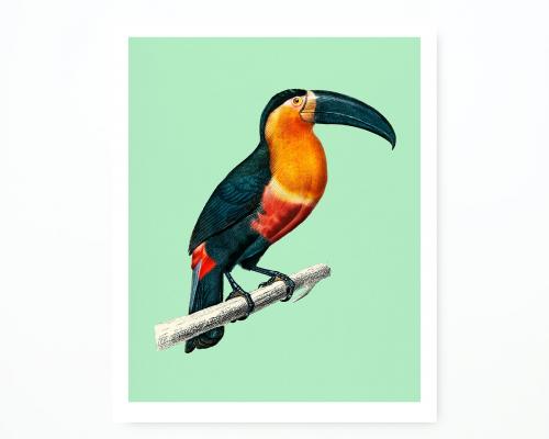 Photo frame with bird picture on the white wall - 328104