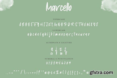 Marcello Beauty Handwritten Font