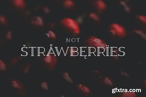 Berry Slab Serif Font