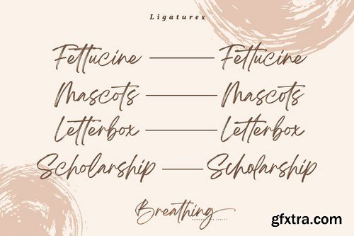 Breathing Brush Signature Font