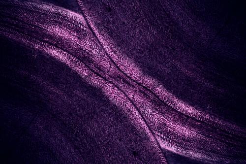 Shiny purple textured background design - 1213015