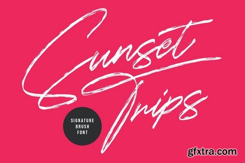 Sunset Trips Signature Brush Handmade Beauty Font