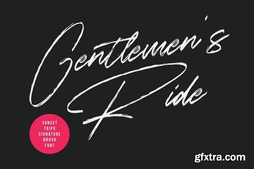 Sunset Trips Signature Brush Handmade Beauty Font