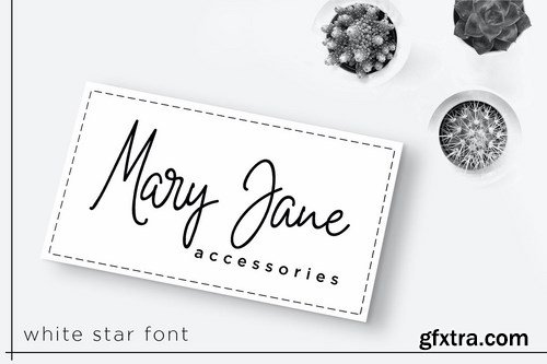 White Star - Monoline Signature Font