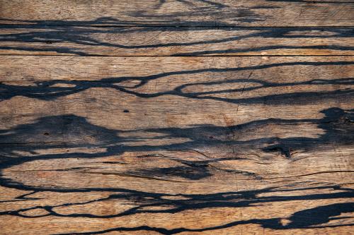 Closeup grunge blank wooden background - 1207853