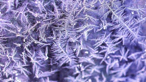 Purple frost on a window background - 1213034