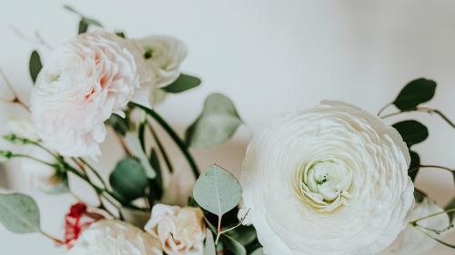 A bouquet of white ranunculus - 1198288