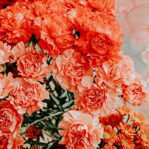 Bunches of orange flowers in a flower shop - 1198294