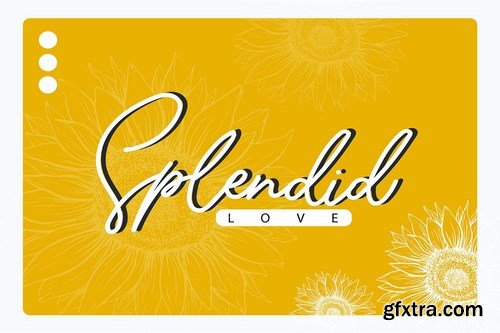 Sunflower  Freehand Signature Font