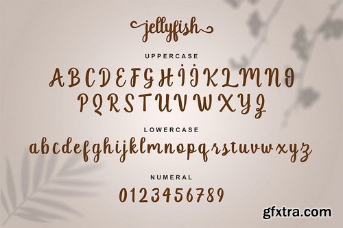 Jellyfish Script