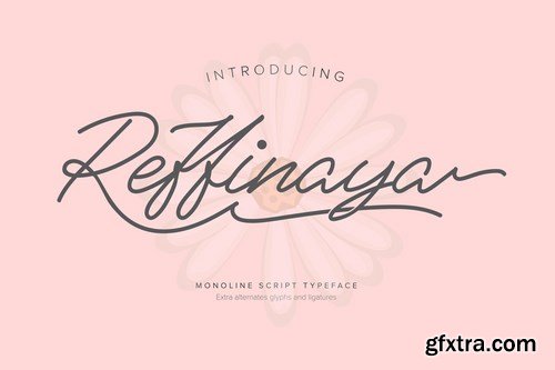 Reffinaya Monoline Script Typeface