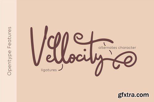 Saillendya Handwritten Brush Typeface