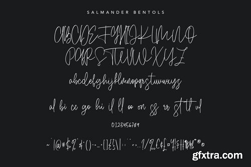 Salmander Bentols Script Signature Typeface Font