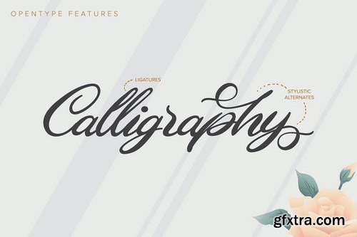 Ellena Handwritten Calligraphy Typeface