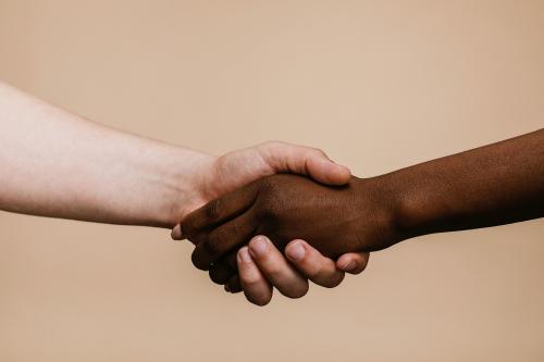 White hand shaking the black hand - 1203250