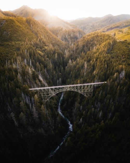 Bridge over a river in a forest - 1204723