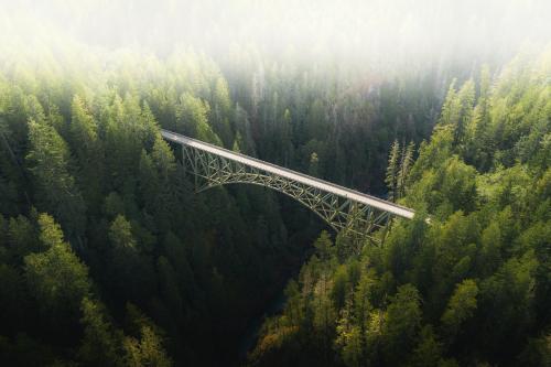 Bridge over a river in a forest - 1204733