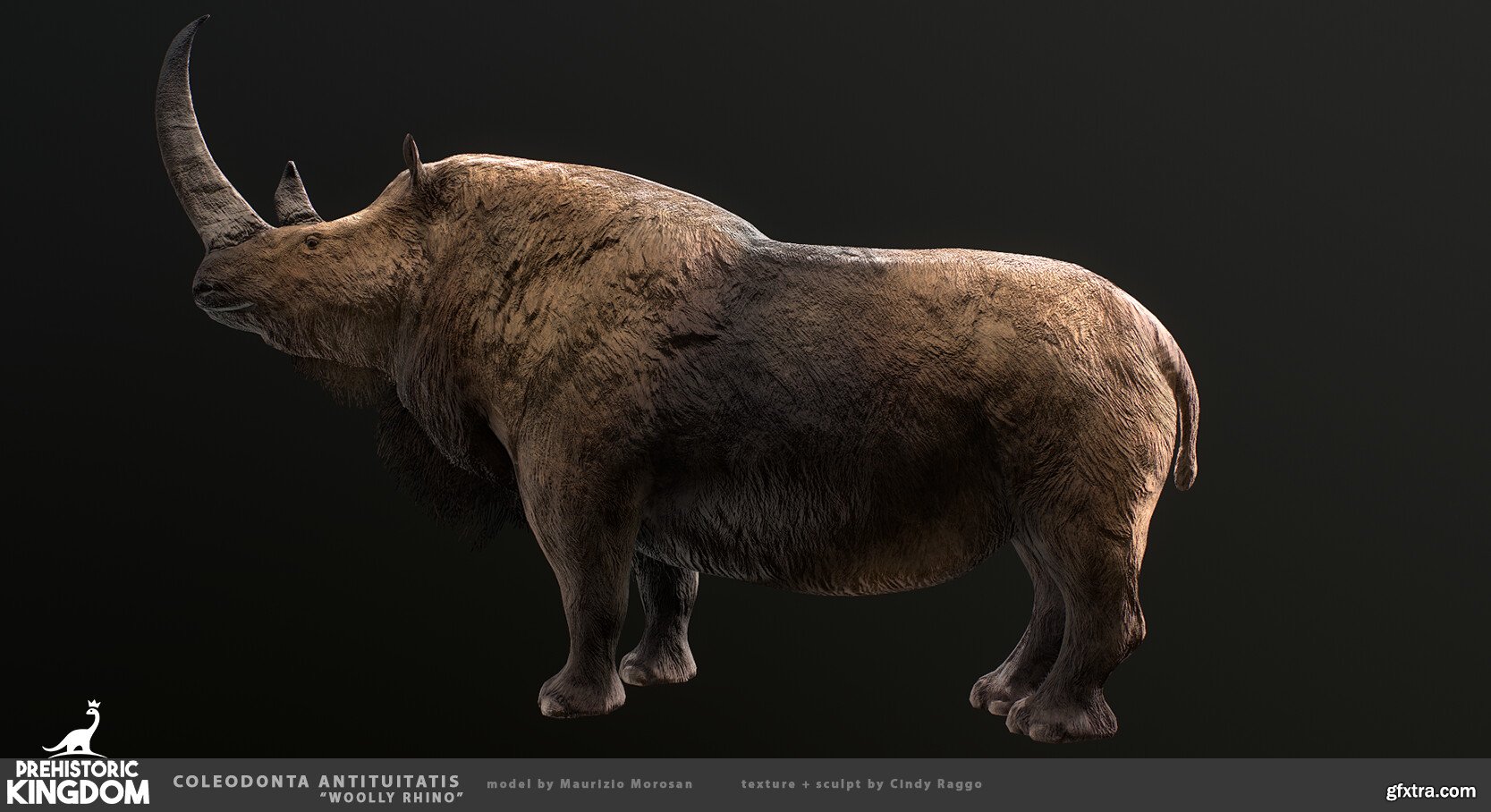 Woolly Rhino » GFxtra