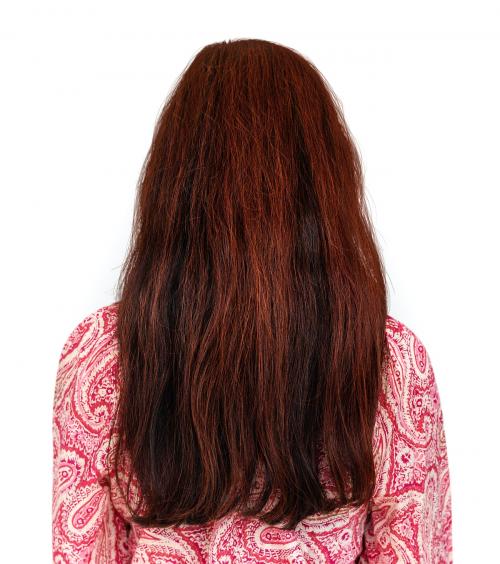 Rear view of woman showing her long dyed hair - 7661