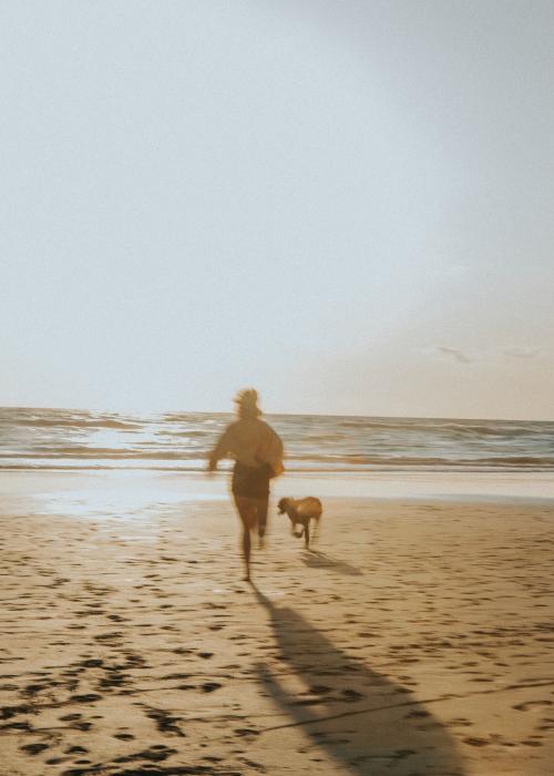 Woman and her dog playing at the beach - 1215550