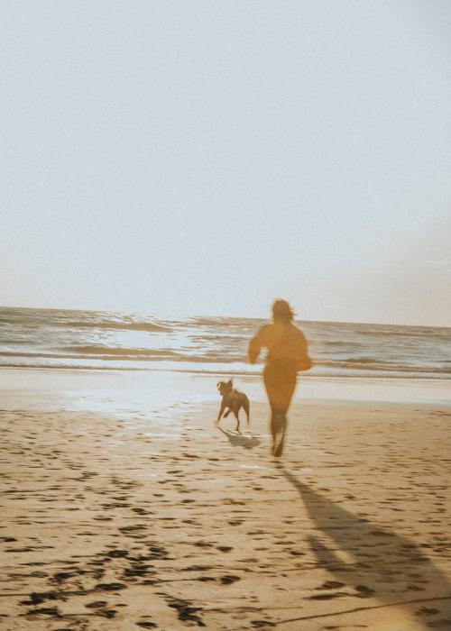 Woman and her dog playing at the beach - 1215595