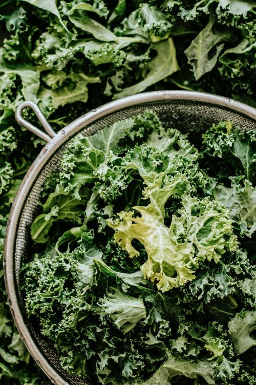 Fresh kale on a strainer food photography - 1054335