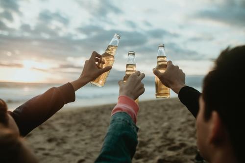 Happy friends toasting at the beach - 1080027