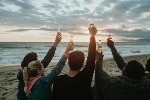 Happy friends toasting at the beach - 1080050