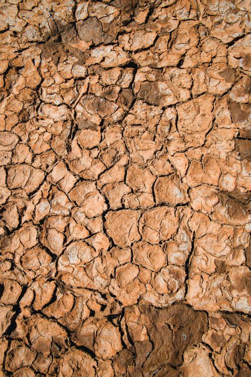 Macro shot of scorched earth - 1198876