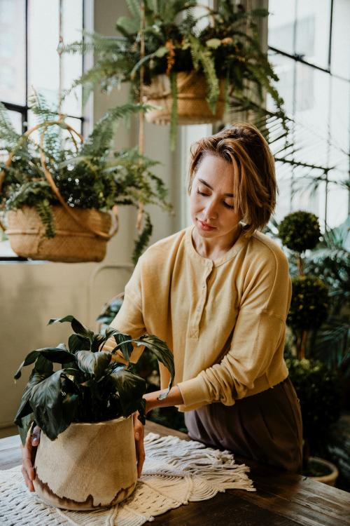 Woman taking care of her plants in a glasshouse - 1200460