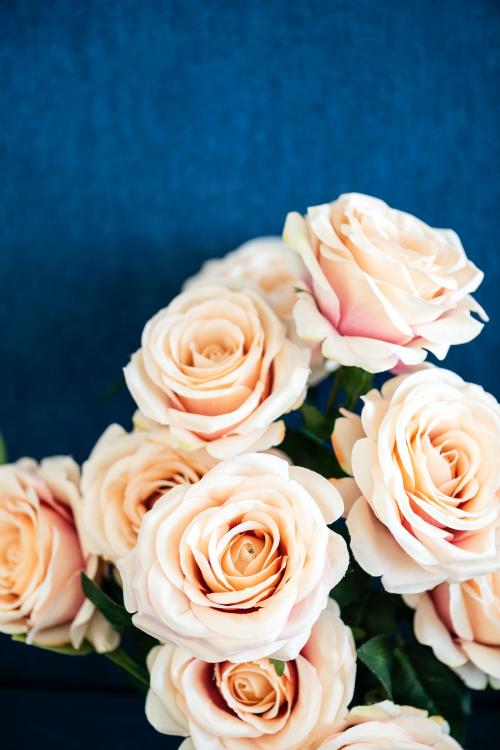 A bouquet of light orange roses background - 1204294