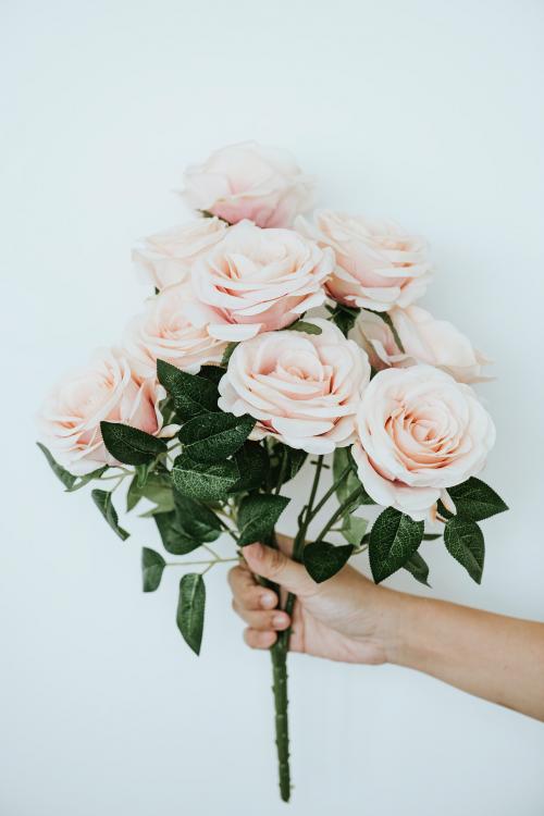 Hand holding a bouquet of light orange roses - 1204375