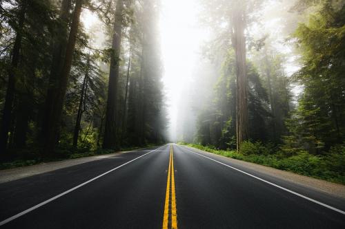 Scenic route in the Redwood National Forest in California, USA - 1204737