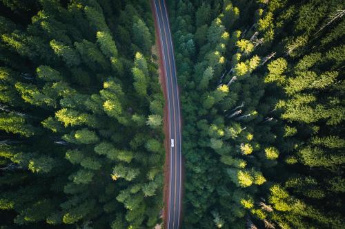 Aerial view of a road through the woods - 1204747