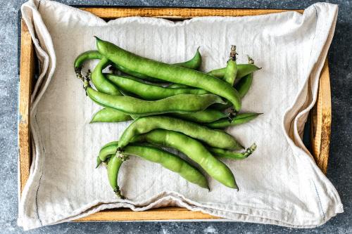 Fresh organic broad beans in a wooden box aerial view - 1204784