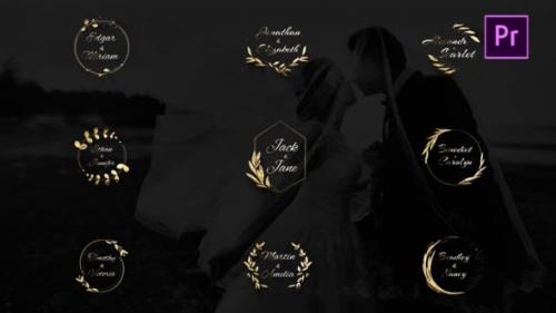 Videohive - Lovely Gold and Silver Titles