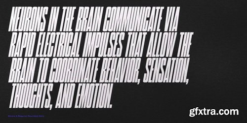 Neuro X Font Family