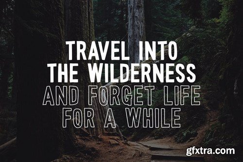 Wonderful Wilderness Font Duo